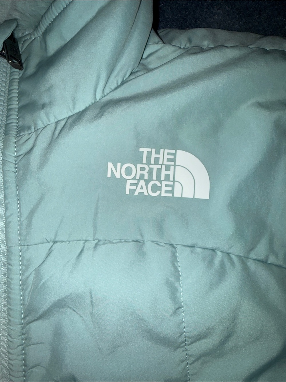 The North Face reversible Kids Jacket